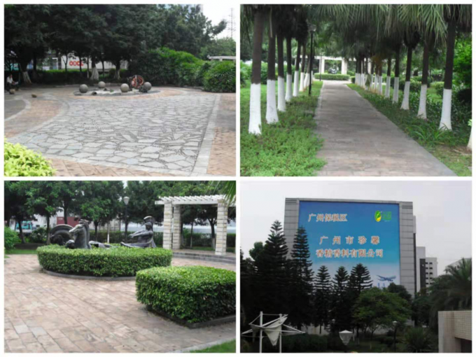 Des saveurs délicieuses de baies rouges saveurs de crème glacée 10