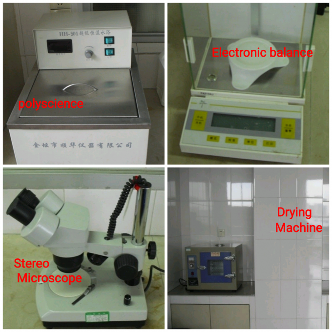 Des saveurs délicieuses de baies rouges saveurs de crème glacée 13