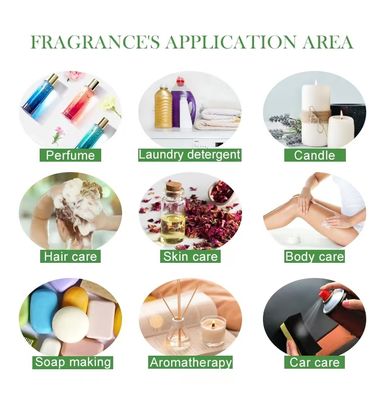 Premium Perfume Essence Oil Wholesale Aromatic Extracts for Perfumers