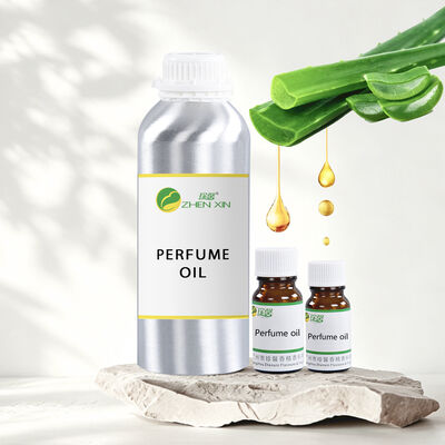 Perfume Wholesale Distributor Body Oil Perfumes Luxury Cologne Perfumes for Women and Men Designer Perfume Oil Fragrance