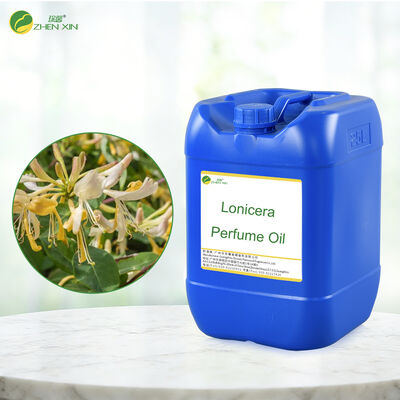 Designer de luxe Arabian Parfums Private Label Parfums Parfums en rouleau sur l'huile de parfums concentrés Parfums Parfums en gros